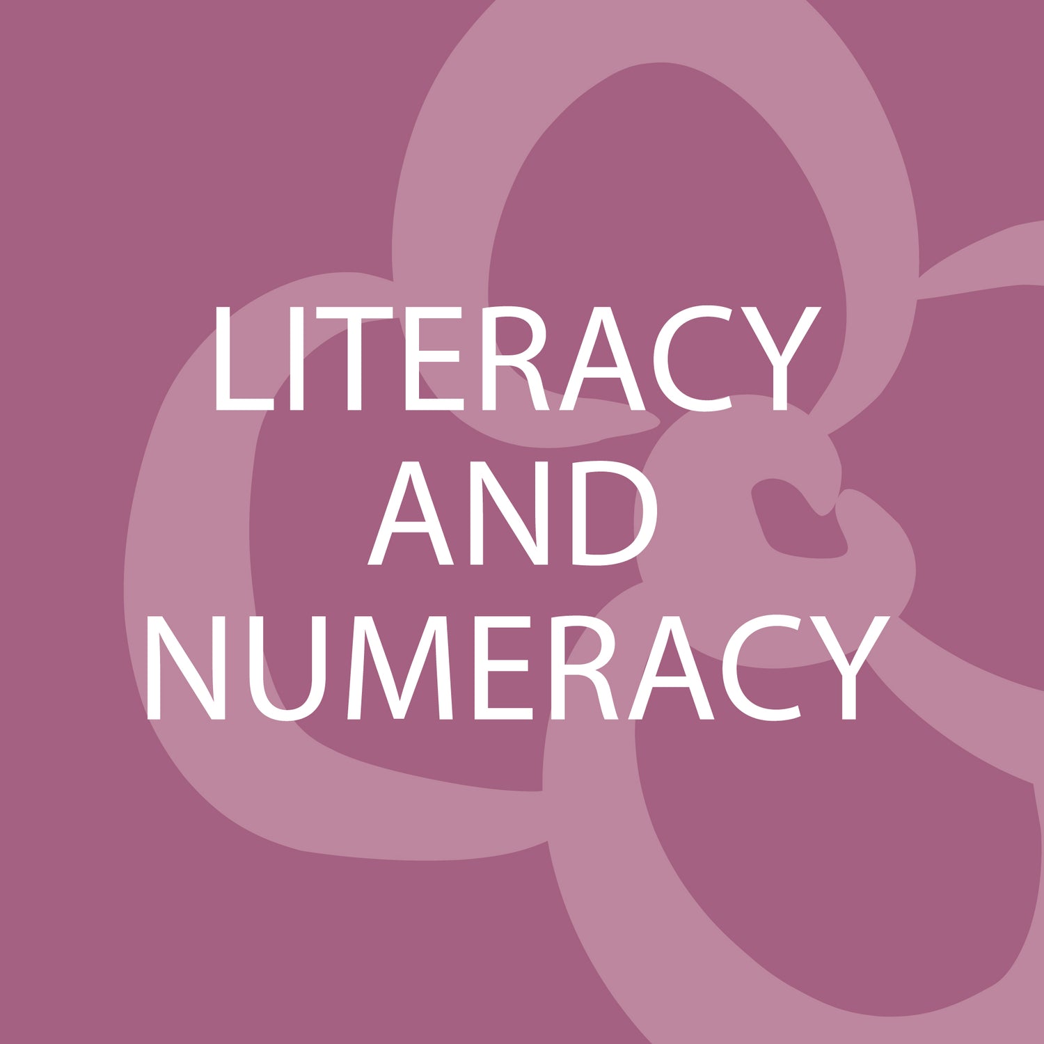 Literacy and Numeracy