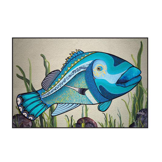 Australian Indigenous Classroom Mat - Fish (2m x 3m)