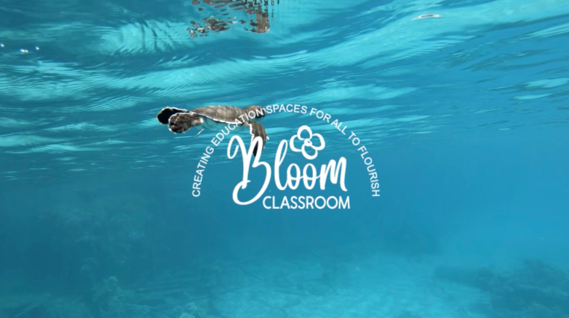 Load video: Introduction to Bloom Classroom